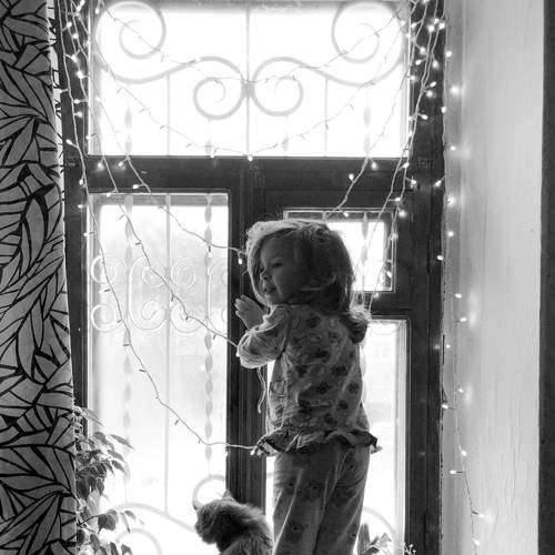 Photo #5585852