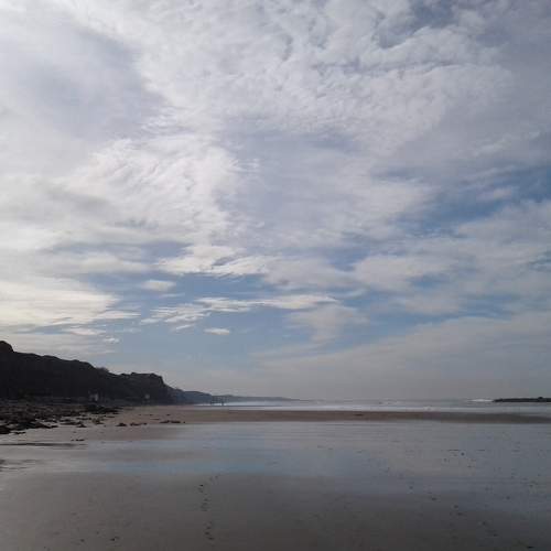 Photo #5585951