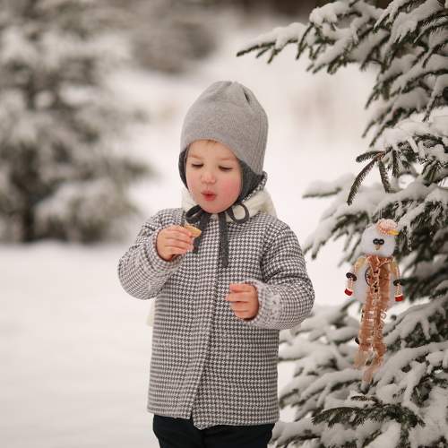 Photo #5586036