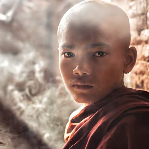 Фотография #5586051