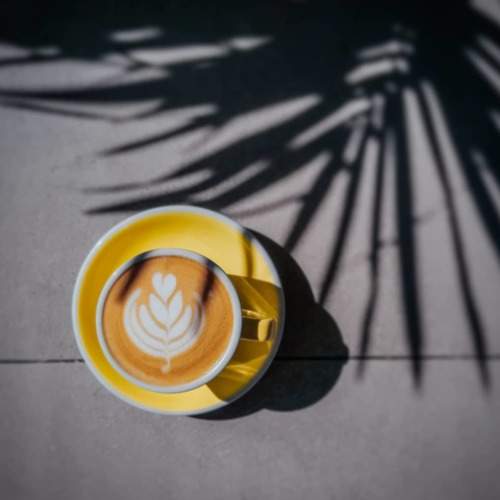 Photo #5586164
