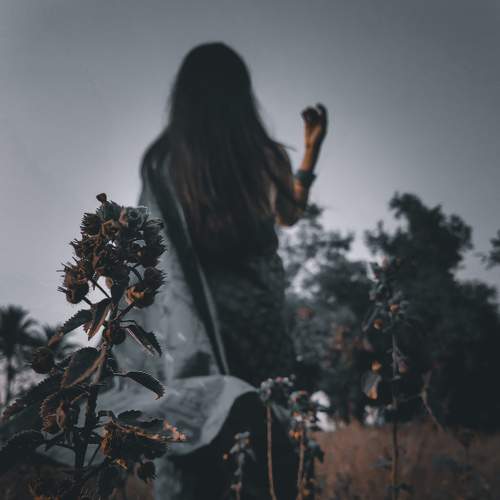 Photo #5586274