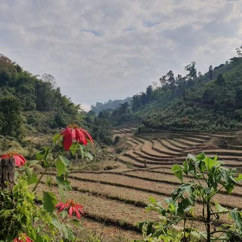 In the middle of the mountains. Thailand (2019)