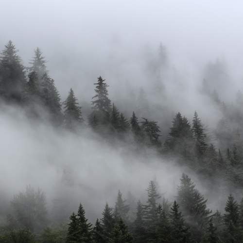 Photo #5586624
