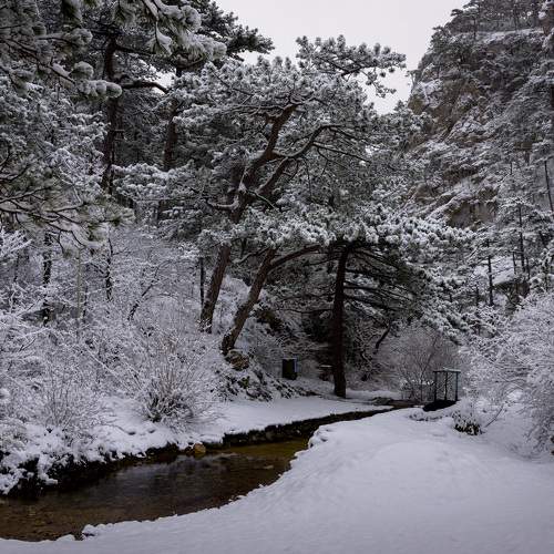 Photo #5586664