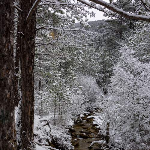Photo #5586670