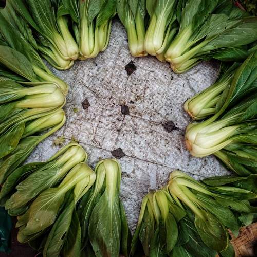 Photo #5586732