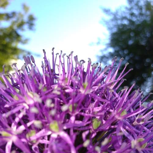 Photo #5586746