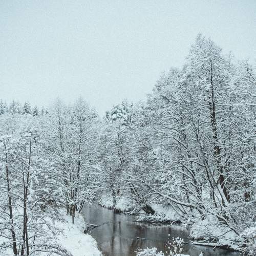 Photo #5586820