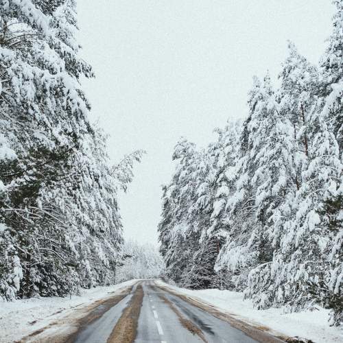 Photo #5586823