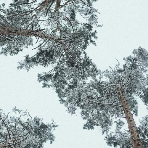 Photo #5586824