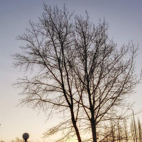 Photo #5586894