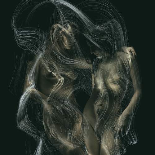Photo #5587135