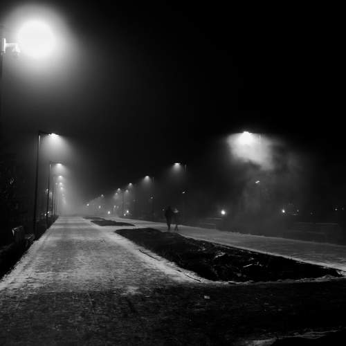 Photo #5587347