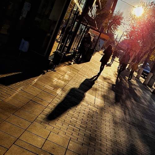 Photo #5587379