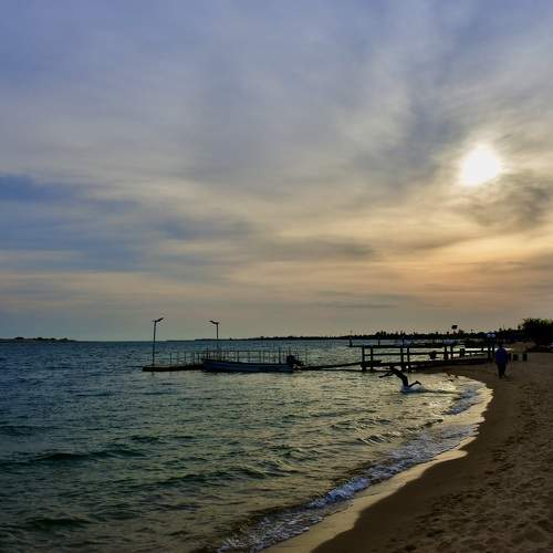 Photo #5587438