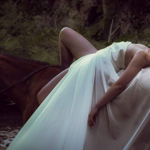 Photo #5587925