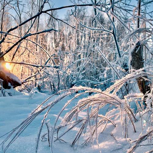 Photo #5588311