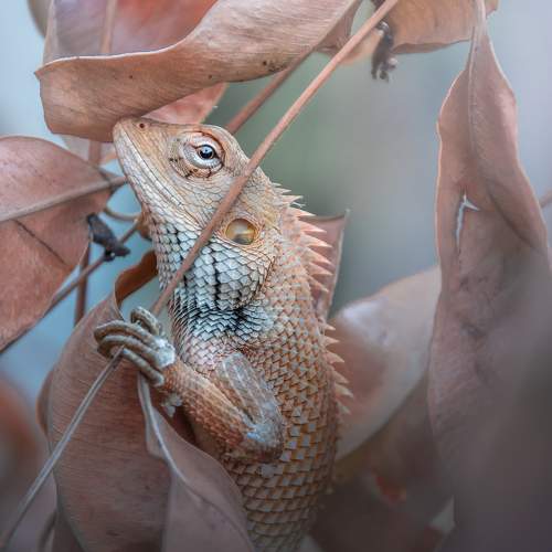 Photo #5588351