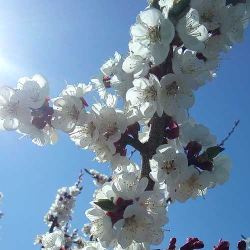 Photo #5588402