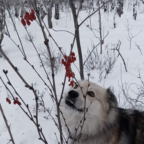 Photo #5588403