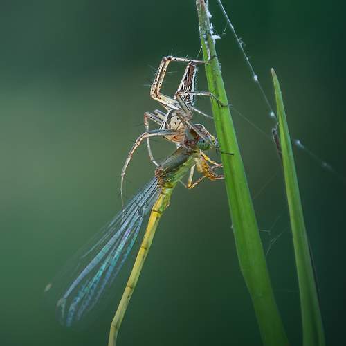 Photo #5588457