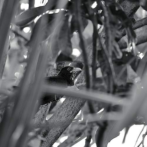 Photo #5588460