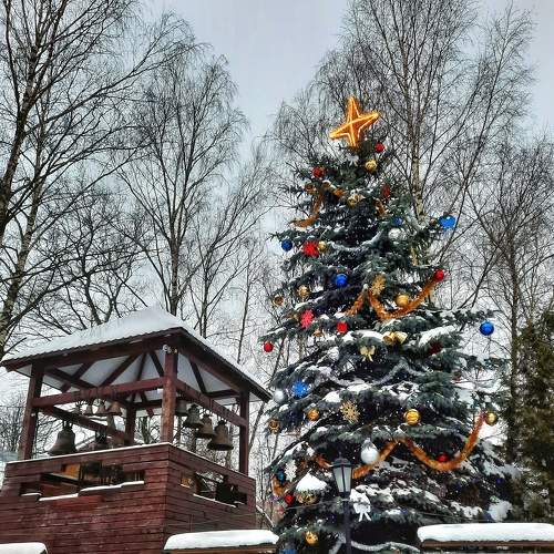Photo #5588702