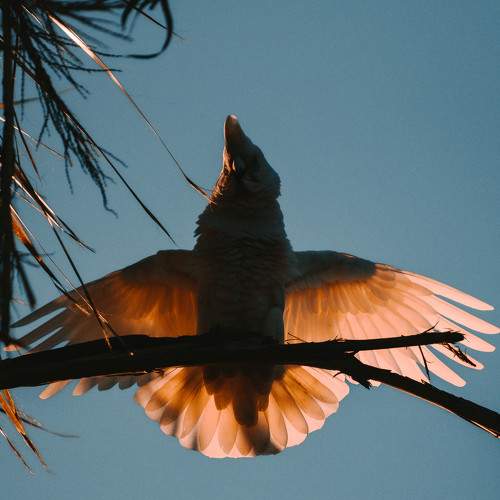 Arrival