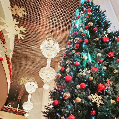 Photo #5589016
