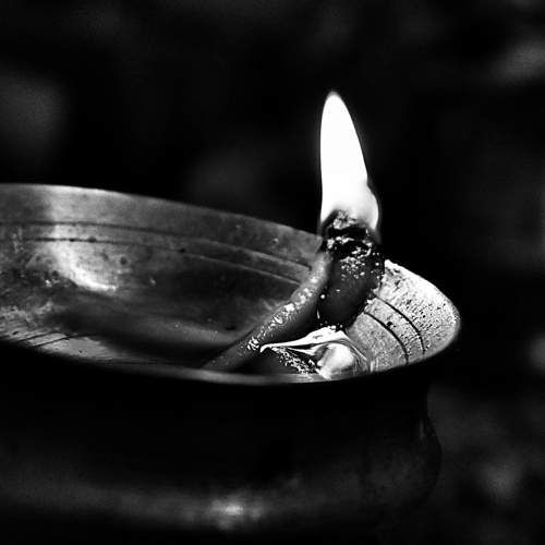Photo #5589052