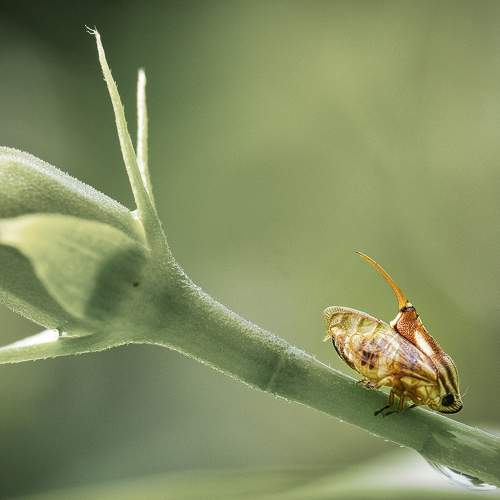Photo #5589444