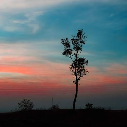 Colors of nature