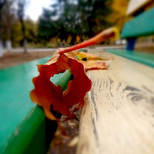 Photo #5589646