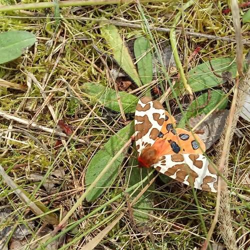 Photo #5590016