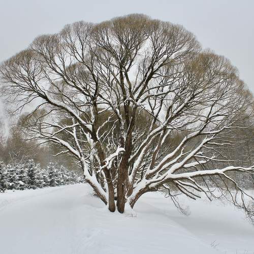 Photo #5590174
