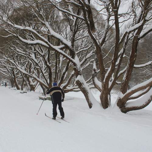Photo #5590181