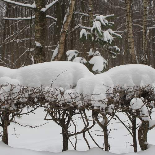 Photo #5590197