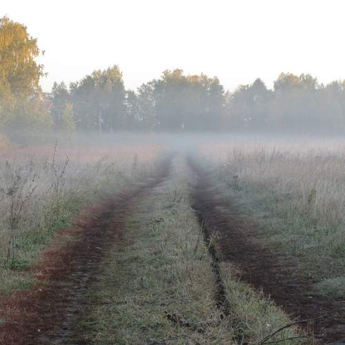 Frosty morning