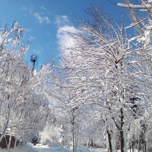 Photo #5590553