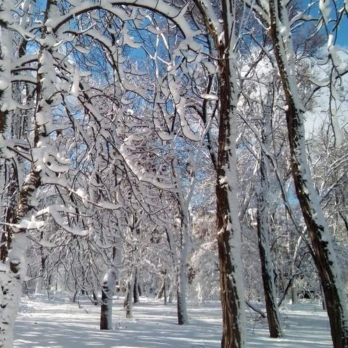 Photo #5590554