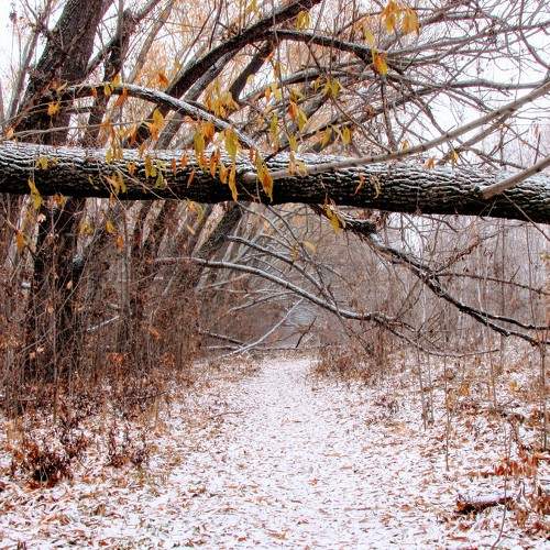 Photo #5590600