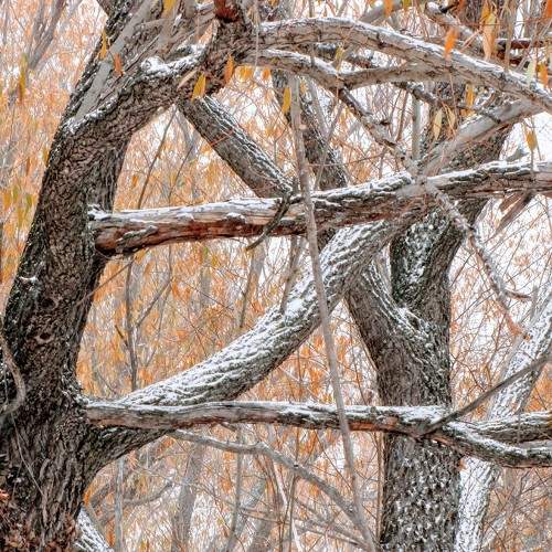 Photo #5590603