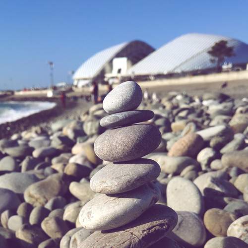 Photo #5590969