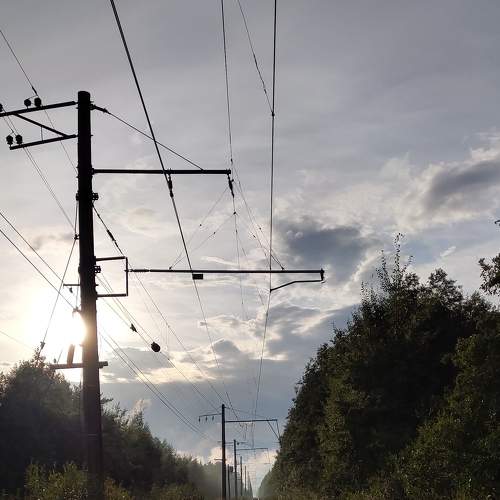 Photo #5591120