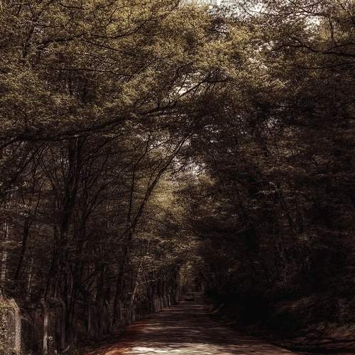 Photo #5591210