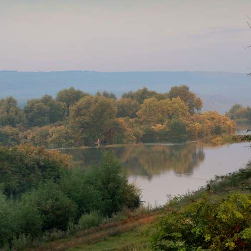 Photo #5591245