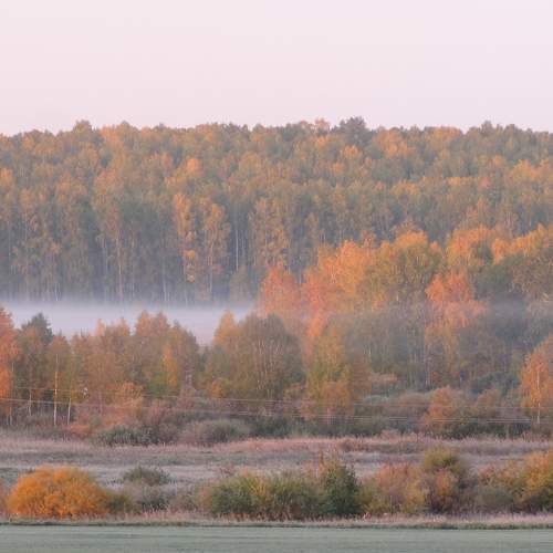 Photo #5591423