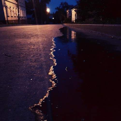Photo #5591573