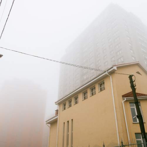 Photo #5591820